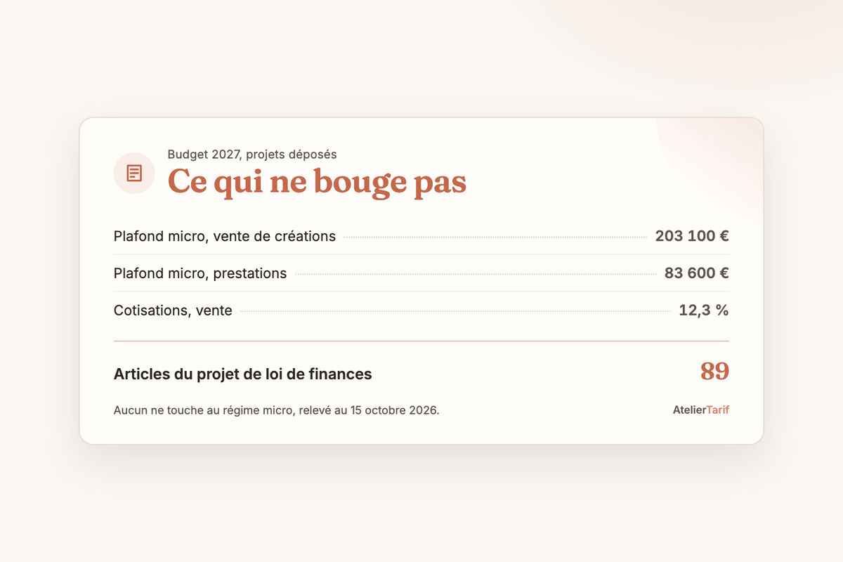 Le budget 2027 en une carte : plafonds de 203 100 € et 83 600 €, cotisations de 12,3 %, aucun des 89 articles du projet de loi de finances ne touche au régime micro